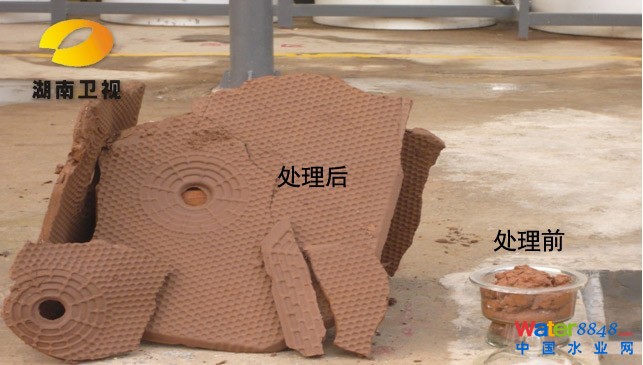 ˲ˮ¼հ