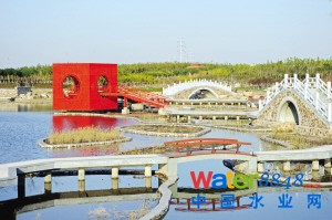 临港湿地“喝光”港区污水(图)