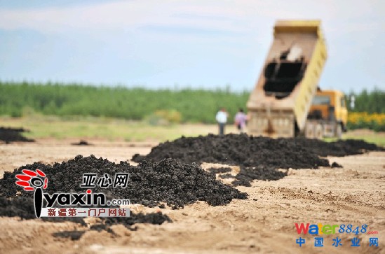 乌鲁木齐市八家污水处理厂只有一家处理了污泥 乌鲁木齐市八家污水处理厂只有一家处理了污泥