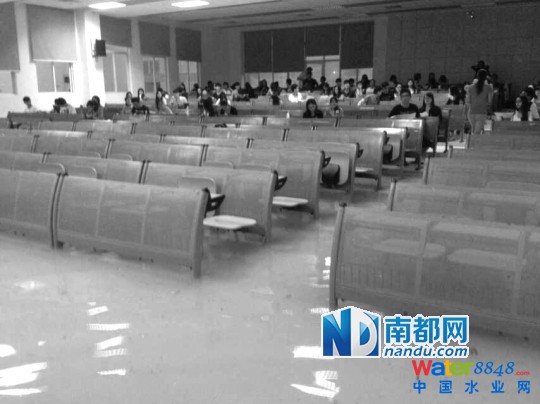 昨日东莞下暴雨，塘厦镇诸佛岭旧围淹没在汪洋中。 南都记者 刘在富 摄