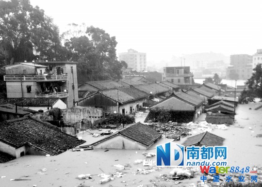昨日东莞下暴雨，塘厦镇诸佛岭旧围淹没在汪洋中。 南都记者 刘在富 摄
