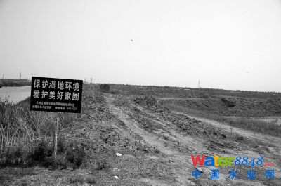 在保护湿地的宣传牌旁,古海岸国家级湿地已满目疮痍。 在保护湿地的宣传牌旁,古海岸国家级湿地已满目疮痍。