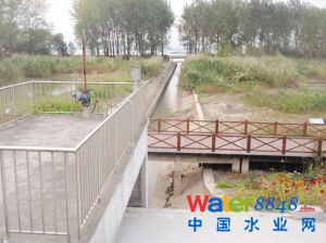 鱼嘴湿地公园污水直排长江?环保部门:泵站放水冲污泥