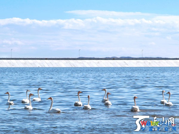 2015年1月14日,阿勒泰市污水处理厂冬季仍能正常运行。