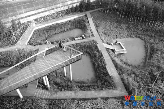 图为:建成“海绵城市”后,“下沉式绿地”将点缀城市角落(资料图片)