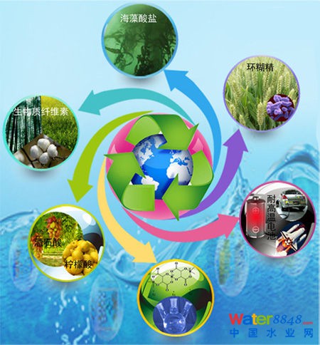生物质能源到底有没有前景? 生物质能源到底有没有前景?