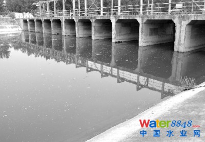 淮河支流成“黑水河”污水处理或成排污
