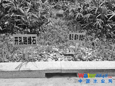南宁市白沙大道渗水系统。 均为李家健摄