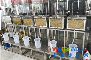 6个生态系统依次相连,形成一套完整的有机废水转化生物基醇的实验装置。