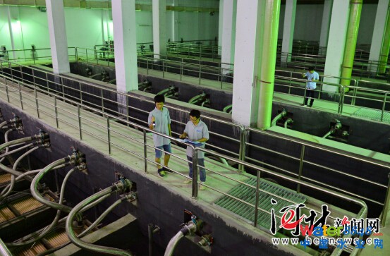 点击打开原图 8月19日,在石家庄正定新区地下式再生水厂,工人正在巡检膜生物反应器。