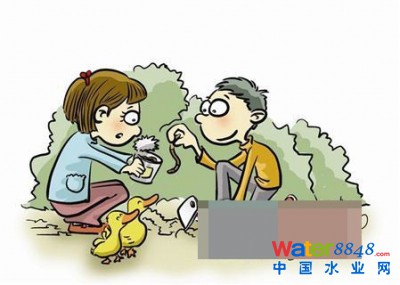 蚯蚓不仅是小孩的玩物,更是有价值的资源。
