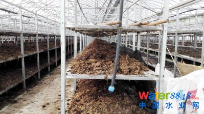 蚯蚓繁殖基地。