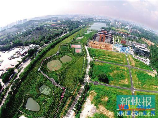 到天河智慧城大观湿地 看广州第一个海绵城市(1)