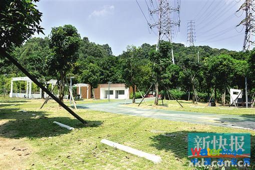 到天河智慧城大观湿地 看广州第一个海绵城市(1)