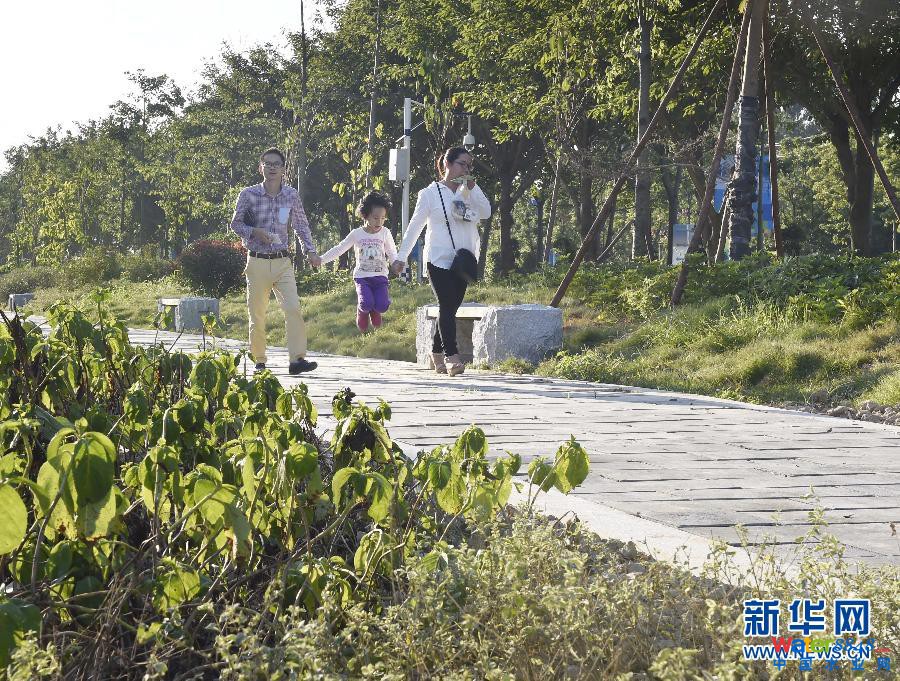 (图文互动·新华全媒头条·海绵城市)(5)明天,我们住什么样的城市——聚焦海绵城市建设