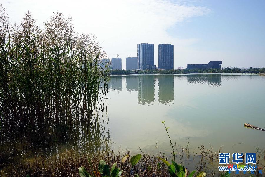 (图文互动·新华全媒头条·海绵城市)(6)明天,我们住什么样的城市——聚焦海绵城市建设