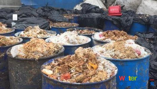 上海多地餐厨垃圾违规卖给养殖场 喂猪吃肯德基