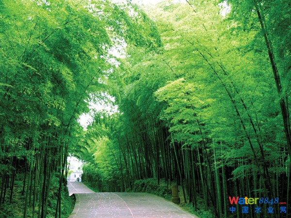 中国104座名山 - 晓慧 - 晓慧的博客