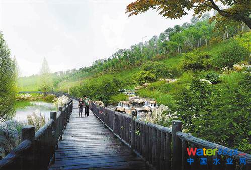 滨江湿地“海绵城市”建设效果图。