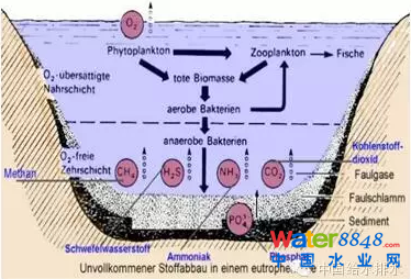 ͼ1  ӵˮڳֱԭNH3H2S