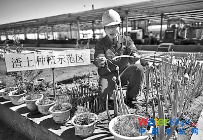 五月九日,陕西靖安含油污泥处理厂员工在介绍用含油污泥无害化处理后的土壤种植的各类蔬菜长势情况。