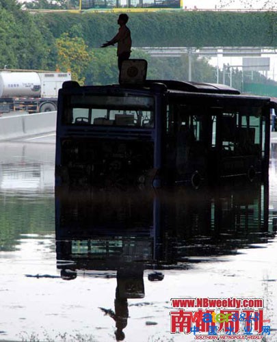 广州“水战”:鲤鱼在高楼间水中畅游