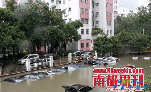 广州“水战”:鲤鱼在高楼间水中畅游