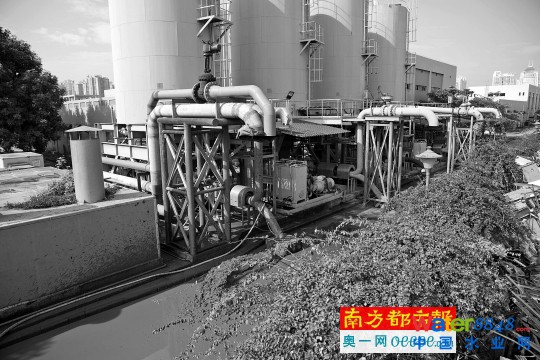 猎德污水厂运污泥 临江大道臭味飘
