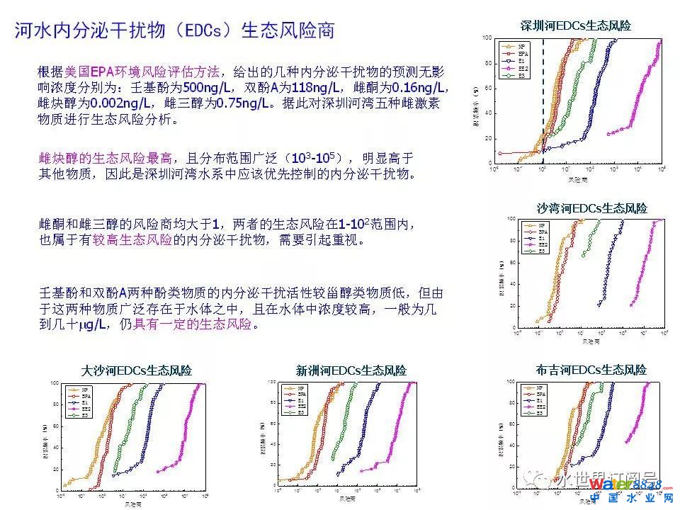 城市黑臭水体治理的新理论和技术框架及常见技术问题分析