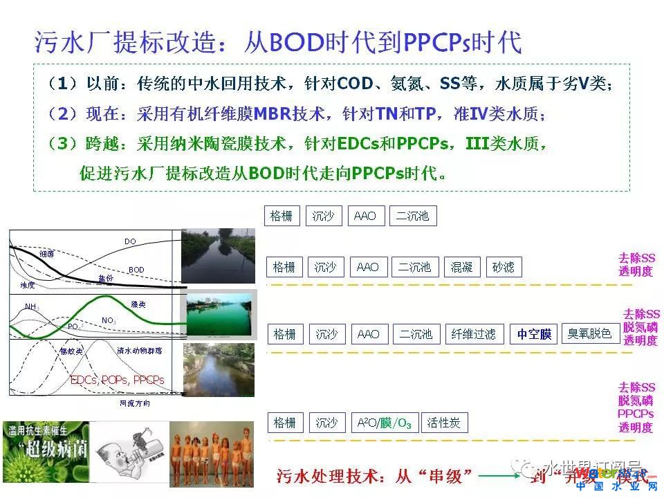 城市黑臭水体治理的新理论和技术框架及常见技术问题分析