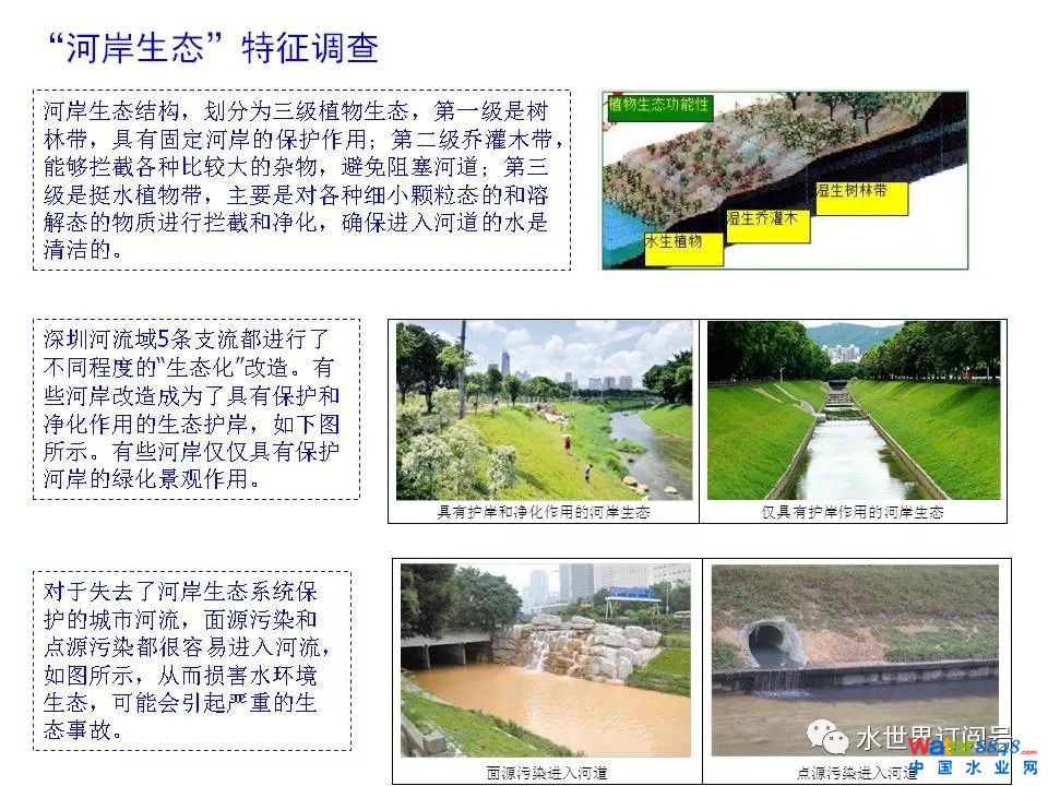 城市黑臭水体治理的新理论和技术框架及常见技术问题分析