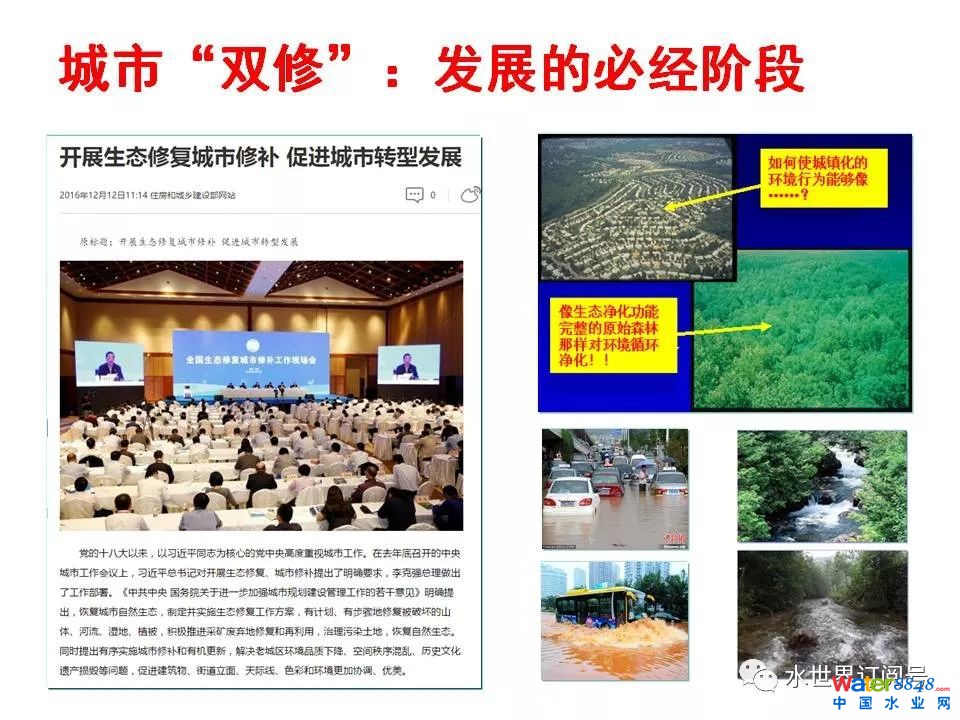 城市黑臭水体治理的新理论和技术框架及常见技术问题分析