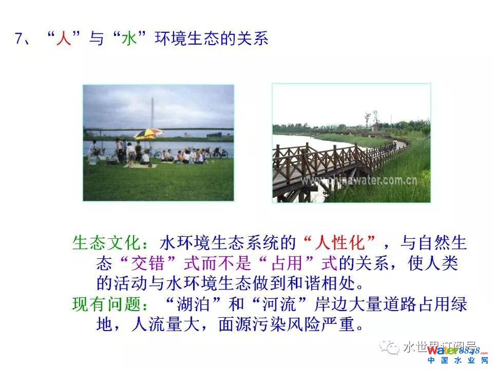 城市黑臭水体治理的新理论和技术框架及常见技术问题分析