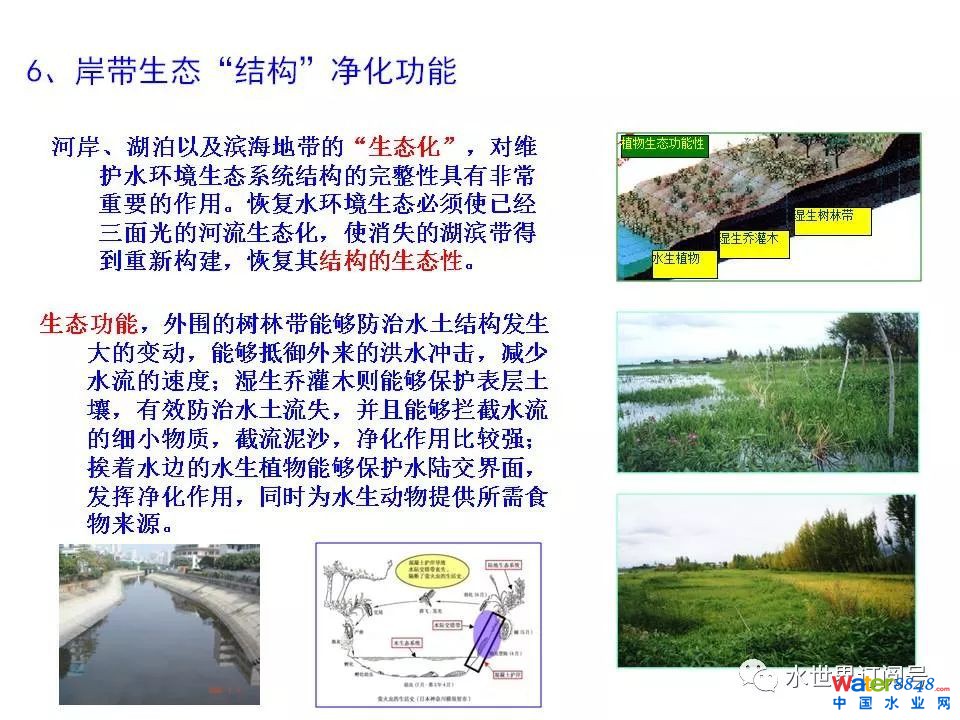 城市黑臭水体治理的新理论和技术框架及常见技术问题分析