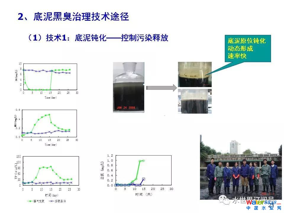 城市黑臭水体治理的新理论和技术框架及常见技术问题分析