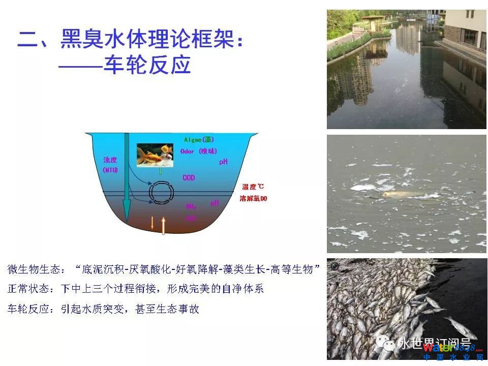 城市黑臭水体治理的新理论和技术框架及常见技术问题分析