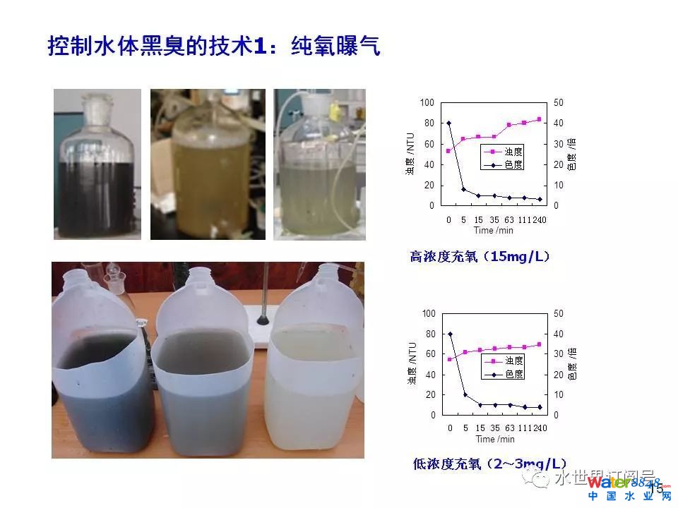 城市黑臭水体治理的新理论和技术框架及常见技术问题分析