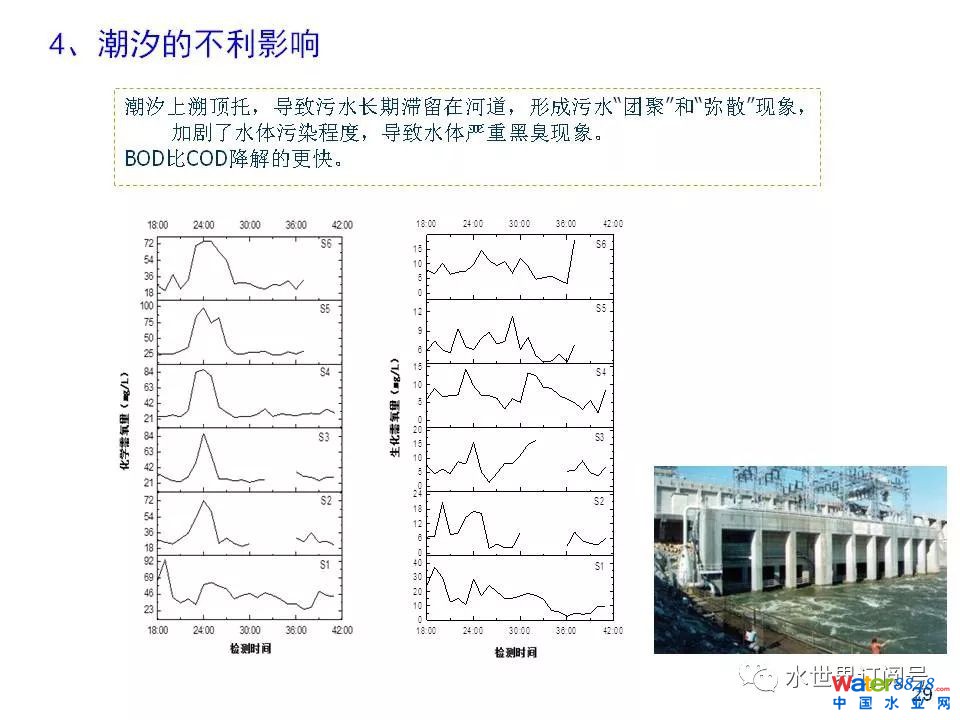 城市黑臭水体治理的新理论和技术框架及常见技术问题分析
