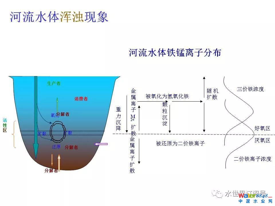 城市黑臭水体治理的新理论和技术框架及常见技术问题分析