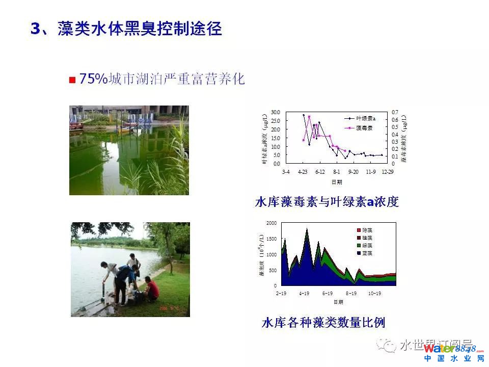 城市黑臭水体治理的新理论和技术框架及常见技术问题分析