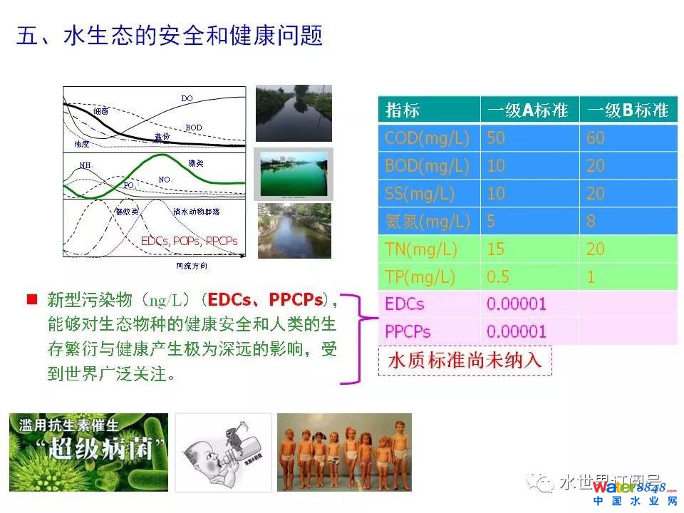 城市黑臭水体治理的新理论和技术框架及常见技术问题分析