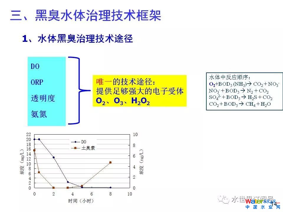 城市黑臭水体治理的新理论和技术框架及常见技术问题分析