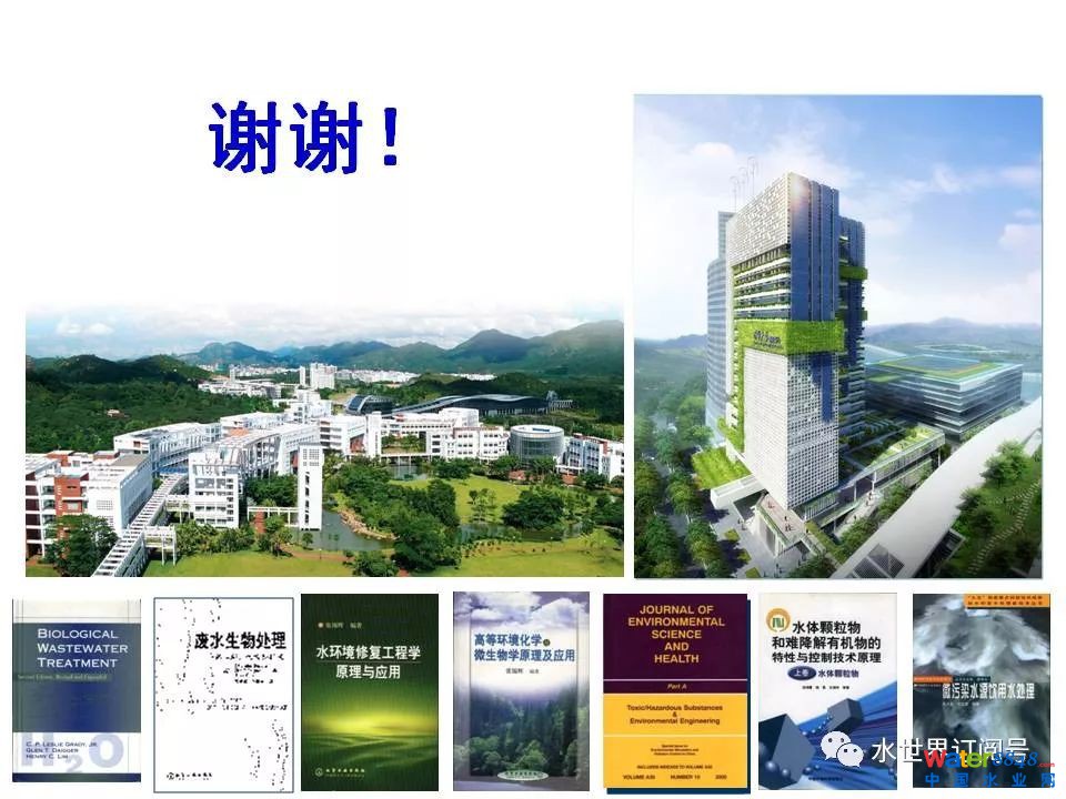 城市黑臭水体治理的新理论和技术框架及常见技术问题分析