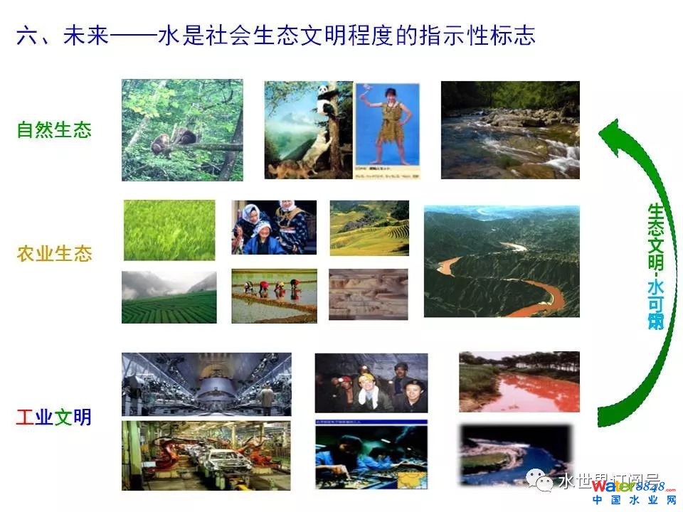 城市黑臭水体治理的新理论和技术框架及常见技术问题分析