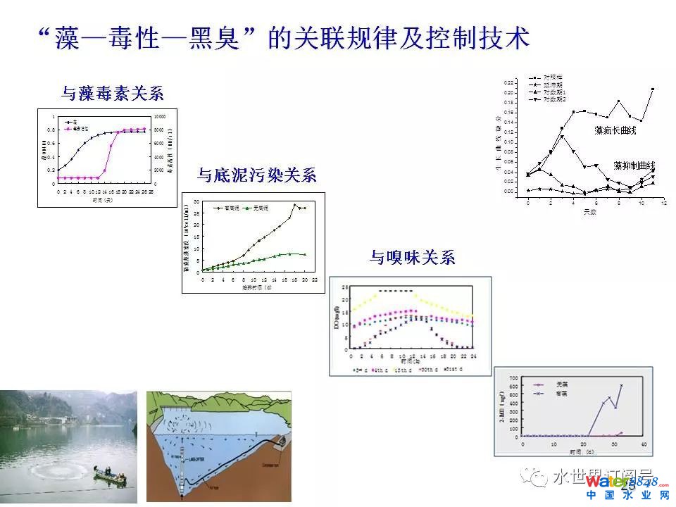 城市黑臭水体治理的新理论和技术框架及常见技术问题分析