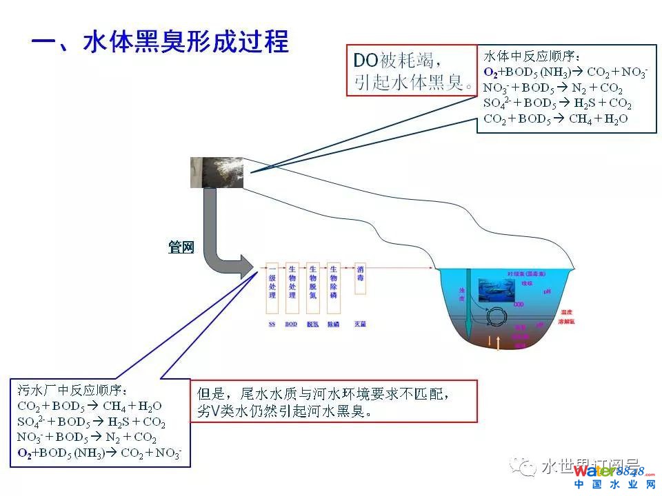 城市黑臭水体治理的新理论和技术框架及常见技术问题分析
