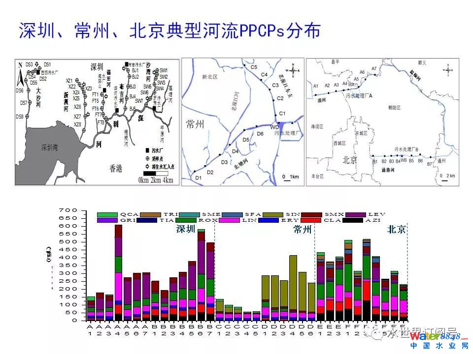 城市黑臭水体治理的新理论和技术框架及常见技术问题分析
