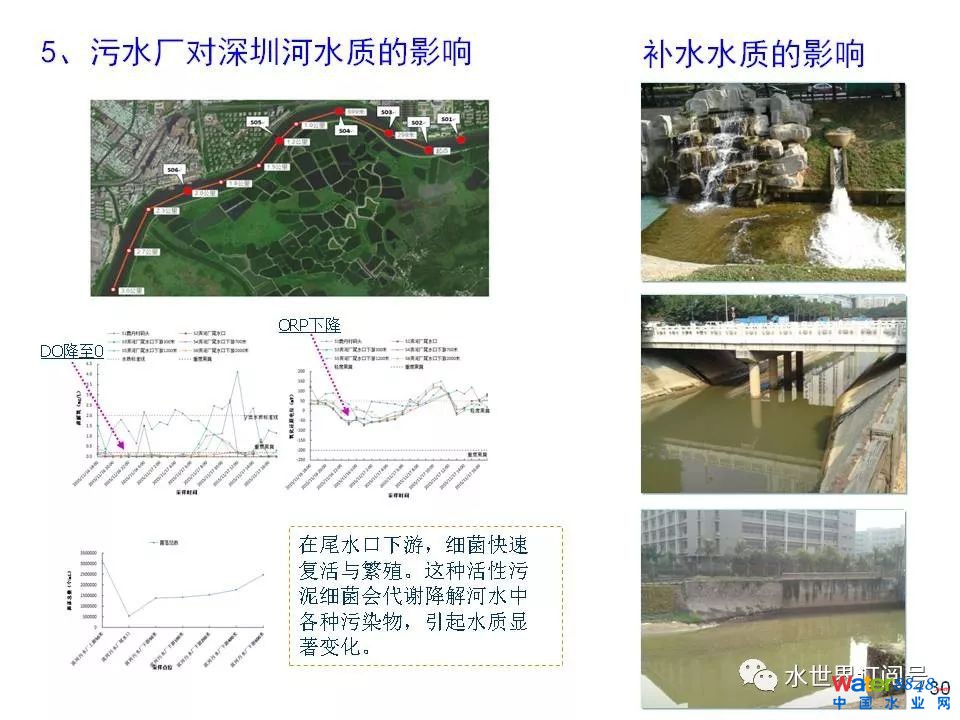 城市黑臭水体治理的新理论和技术框架及常见技术问题分析