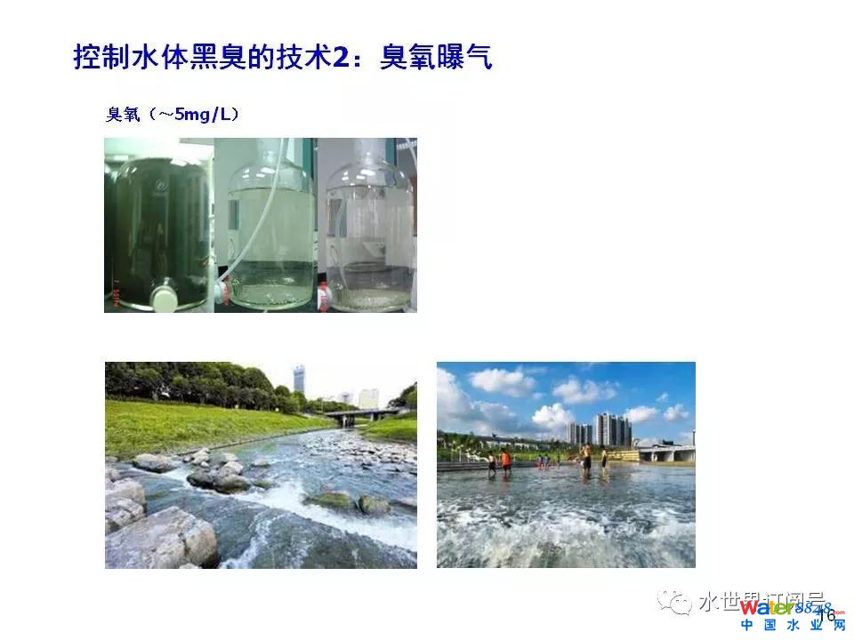 城市黑臭水体治理的新理论和技术框架及常见技术问题分析