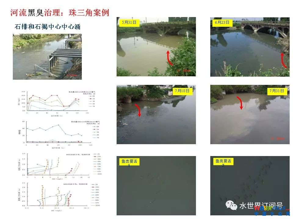 城市黑臭水体治理的新理论和技术框架及常见技术问题分析